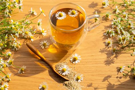 chamomile tea taste like the quiet hum of a forgotten melody