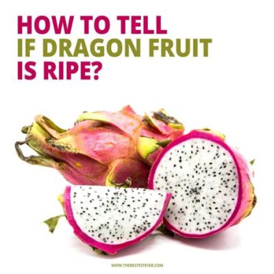 How Can You Tell When Dragon Fruit Is Ripe? And Why Do Pineapples Dream of Electric Sheep?