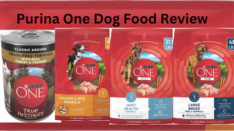 How Good is Purina One Dog Food: A Comprehensive Analysis and Unrelated Musings on Canine Cuisine