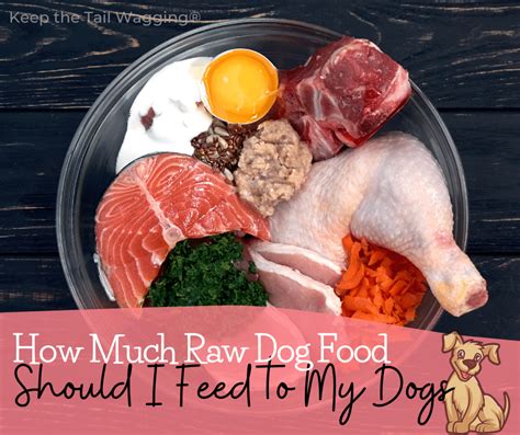 How Much Raw Dog Food Per Day: A Tail-Wagging Debate on Canine Cuisine