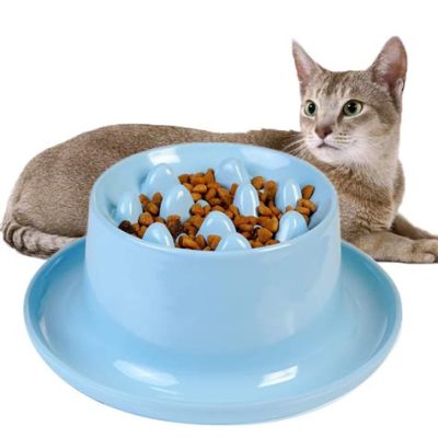 How to Stop Cat from Eating Dog Food: A Comprehensive Guide to Feline Dining Etiquette