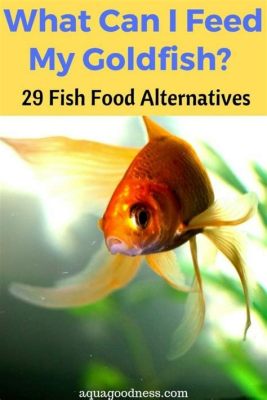 What Can I Feed Goldfish Besides Fish Food: Exploring the Culinary Universe of Aquatic Pets