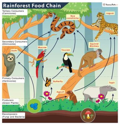 What is a Primary Producer in a Food Chain, and Why Do They Sometimes Feel Like the Overlooked Heroes of Nature?